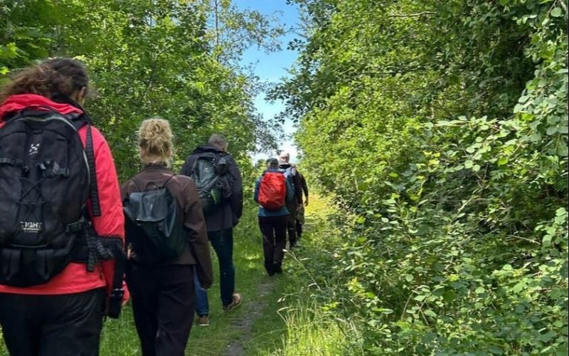 347550645-10229676099237586-7754593391184346176-n_2