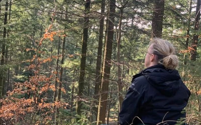 382241495-10230297807739910-4913402788465267354-n